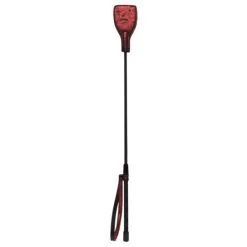 Fifty Shades Of Grey FSOG Sweet Anticipation Riding