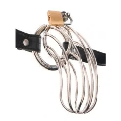 Fetish Fantasy Extreme FFE The Prisoner