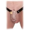Fetish Fantasy Extreme FFE Extreme Chastity Belt -Sex Toys Verkäufe 05404630000 3